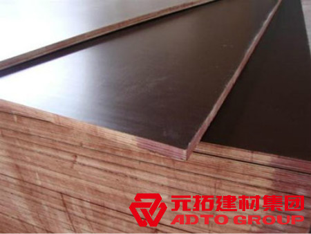 山東臨沂建筑木模板周轉次數(shù)是多少