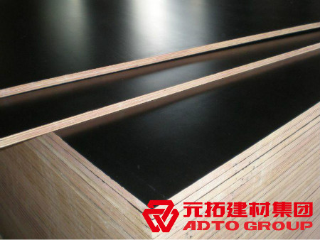 河北建筑木模板生產(chǎn)廠(chǎng)家怎么選購(gòu)？